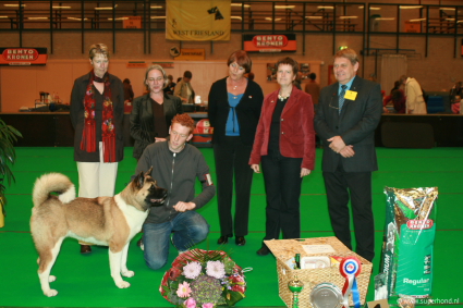 BESTE HOND