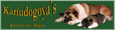 Kariudogoya's