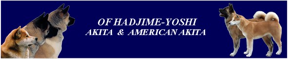 Hadjime Yoshi