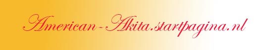 American-akita Startpagina