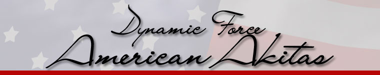 Dynamic Force
