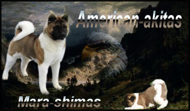 Mara-Shimas