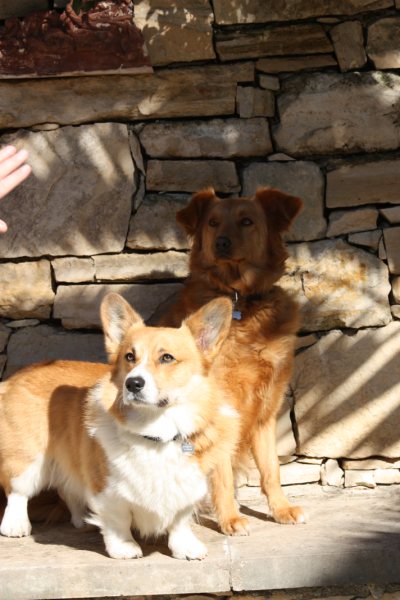 Bunker & Zoi