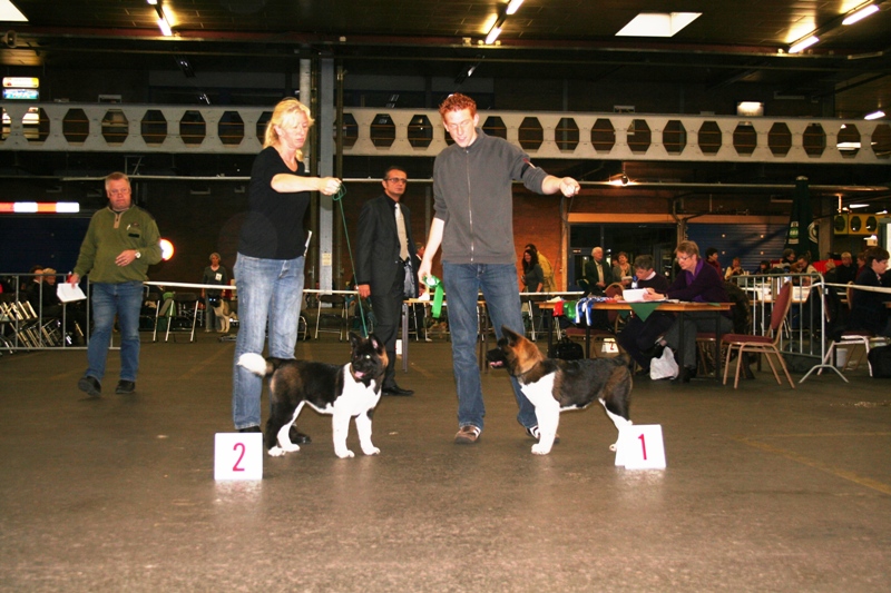 Bleiswijk 2008