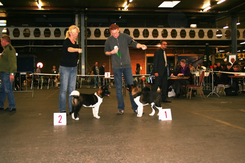 Bleiswijk 2008