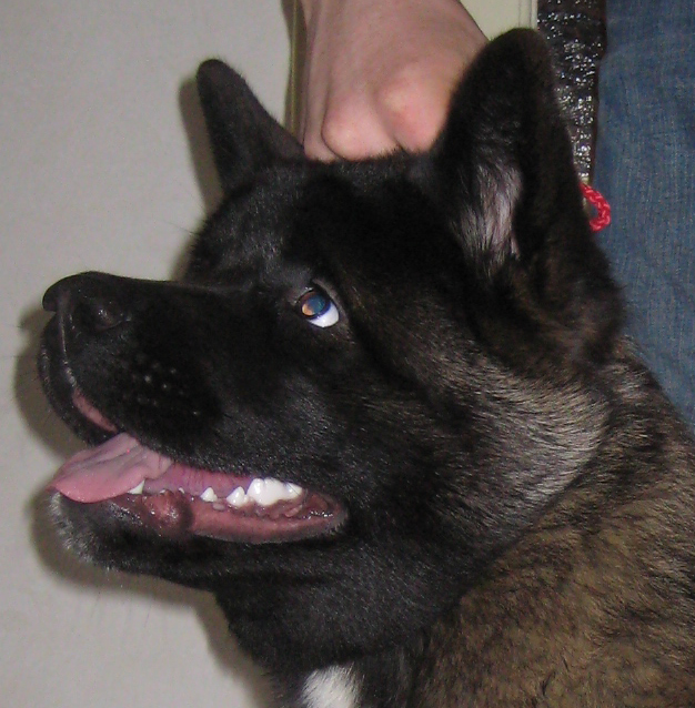 Charlee