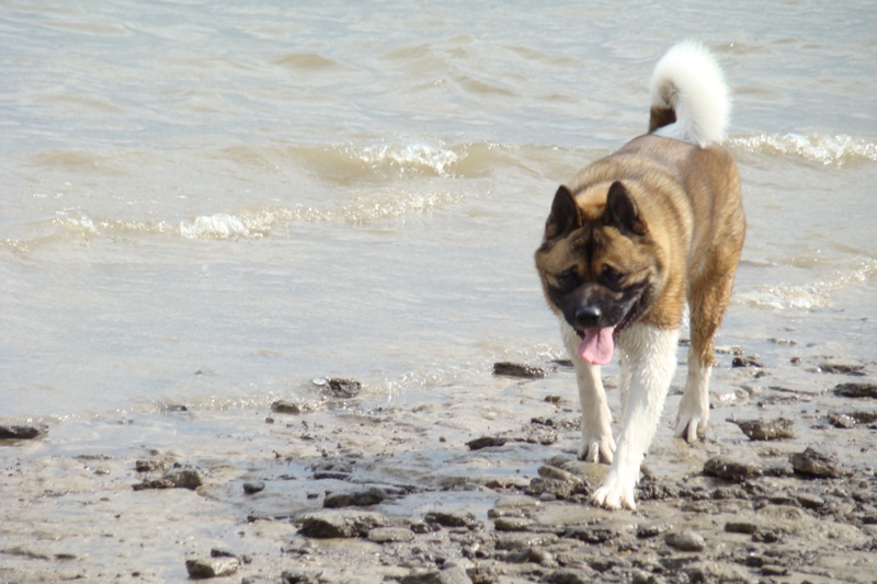 Buster