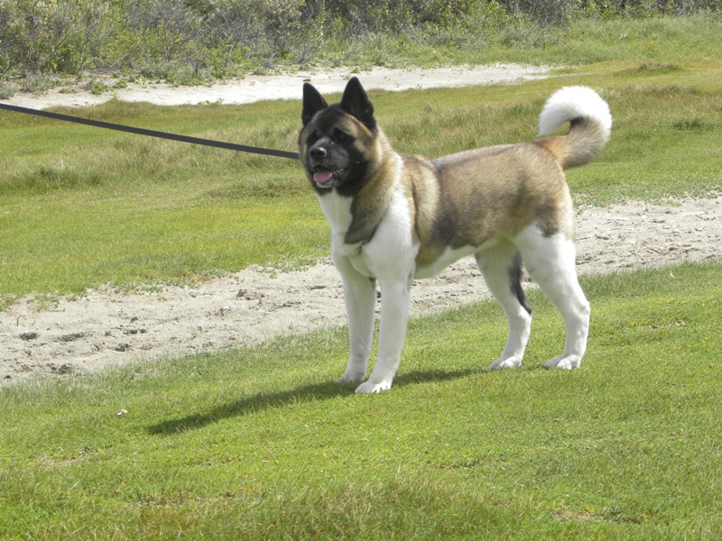 Luna