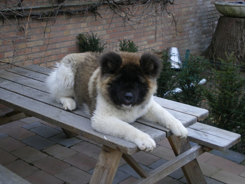 Kita