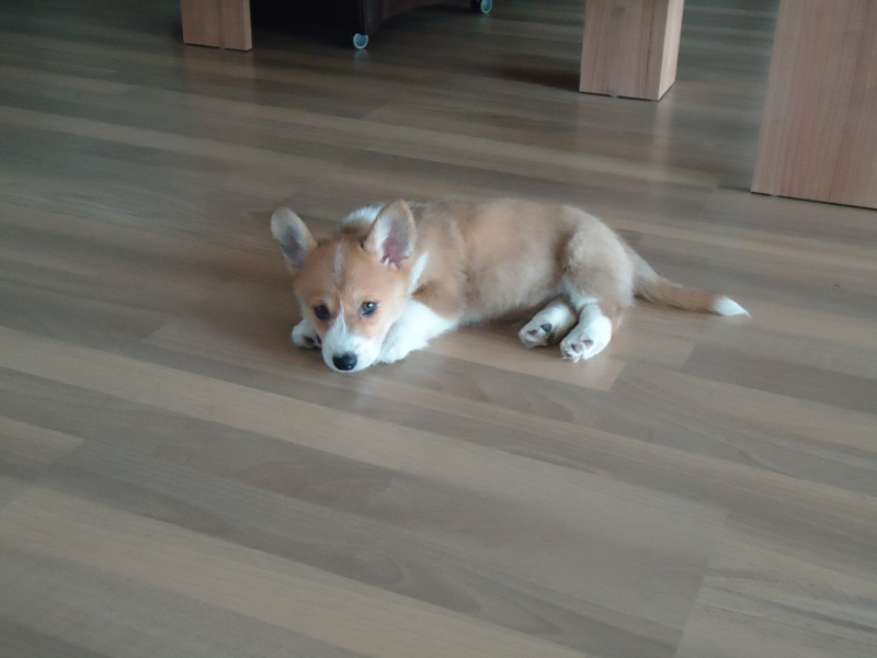 Milton