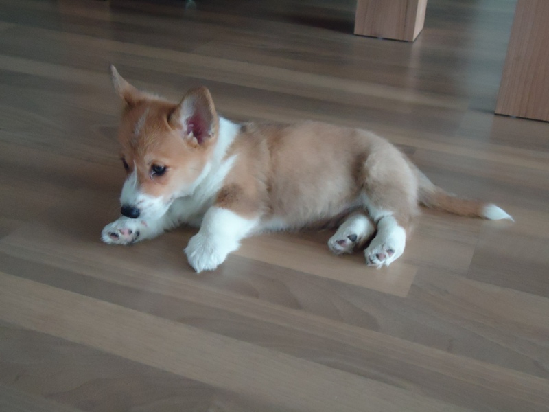 Milton