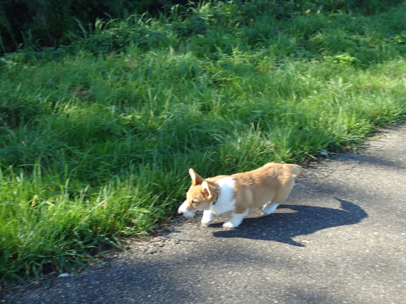 Milton