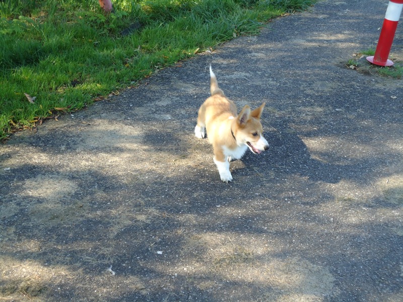 Milton