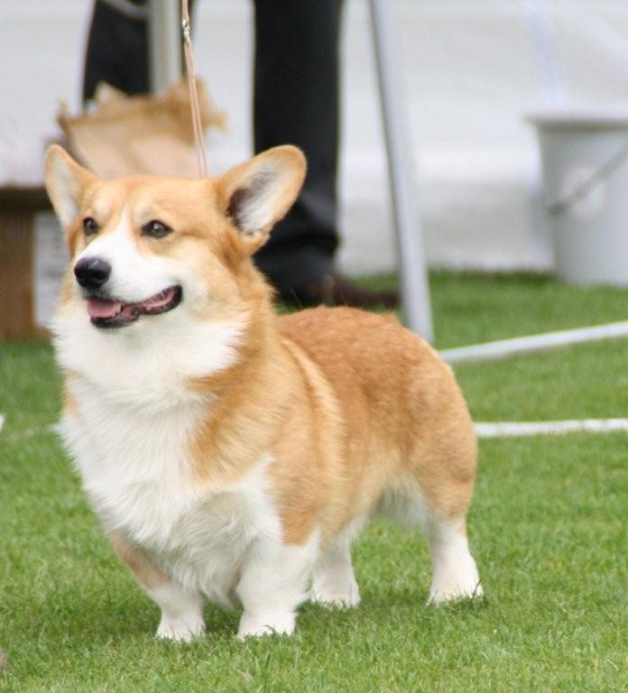 Reuben